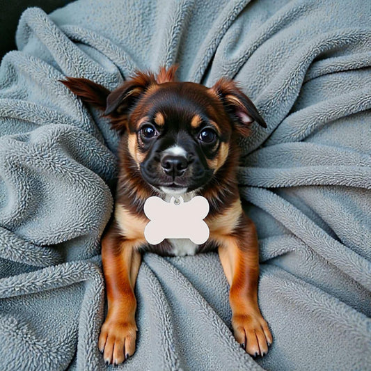 Médaille pour chien en bois (MDF)